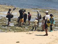 NHKあさたび　3年間の総集編で沖永良部島