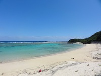 沖永良部島の鳴く虫