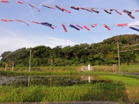 新日本科学　永田良一