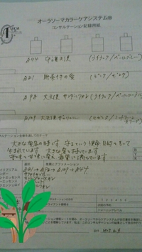 初めてのオーラソーマ体験