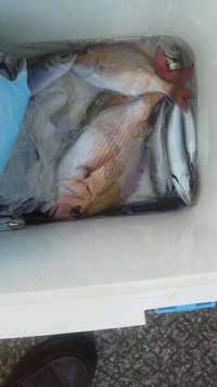 隊長の春の釣果！