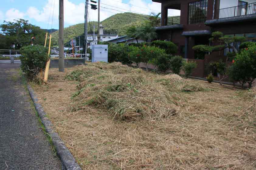 浦上町内会一斉作業