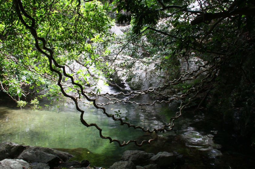 水辺のもだま
