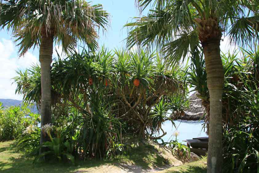 大浜海浜公園