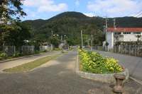 緑道（通学路）