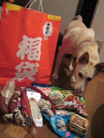 いいしょーがちでーびる