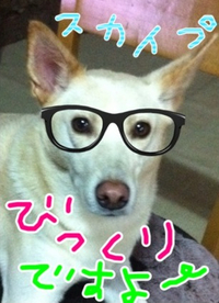 Skypeのお勉強！
