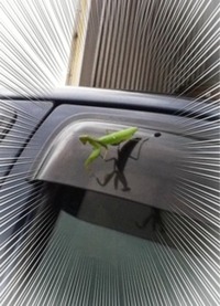 乗車拒否！