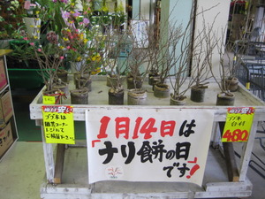 明日は「なりモチ」の日です!!