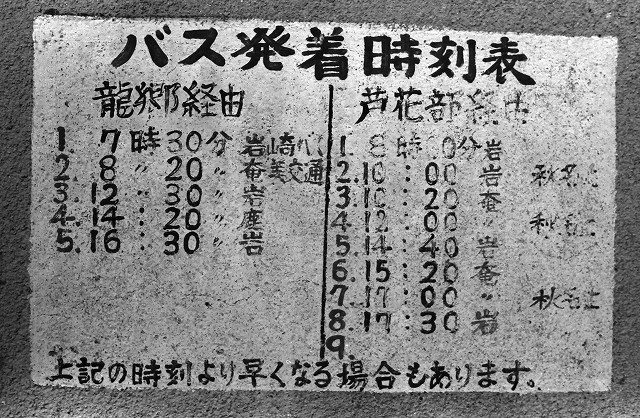 道の島交通,奄美大島,貸切バス