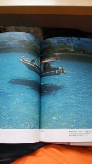 ランぺトゥーザ島
