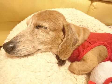14歳と6ヵ月