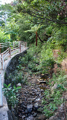 130913-05.jpg