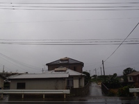 雨だー