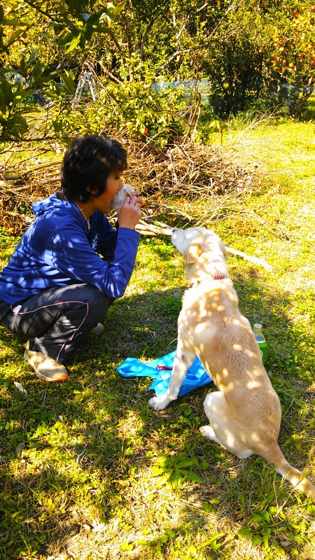本日もみかん畑へ