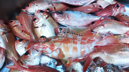 小魚料理