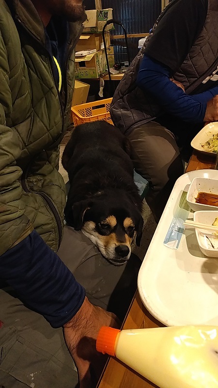まーた集まっちゃった
