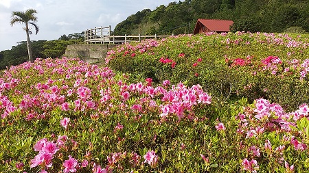 宇検村散策