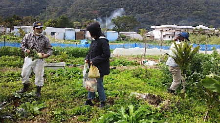 野菜いっぱい