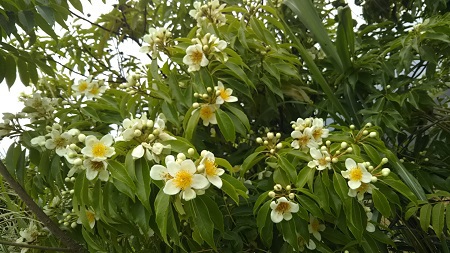 あれこれ5月後半