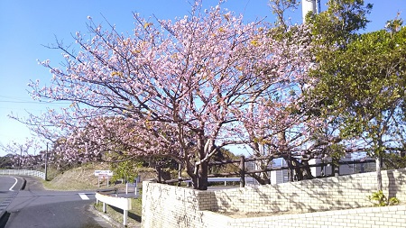今日の色々