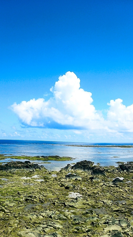 夏　奄美　2