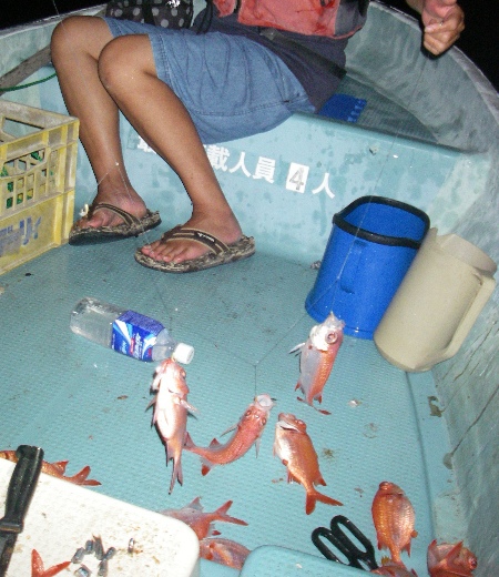 昨夜の釣果