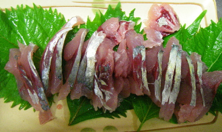 昨夜の釣果