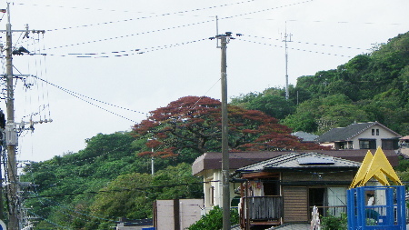 久しぶり