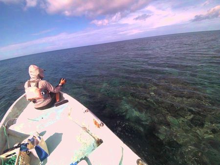 海に誘われて
