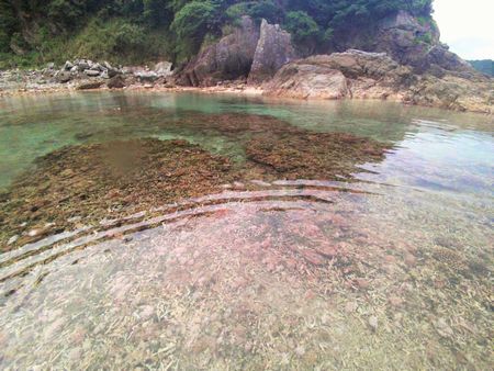 磯の水族館