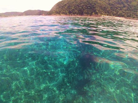 ビュティホー海～