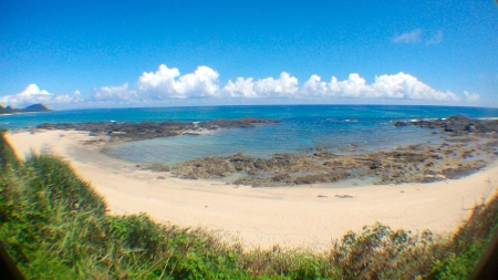 夏　奄美　2