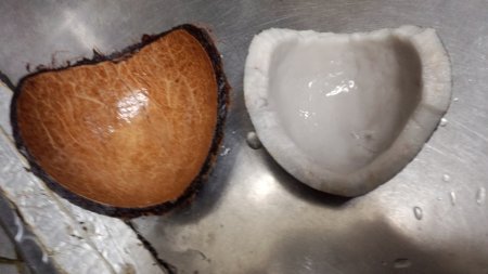 ヤシの実