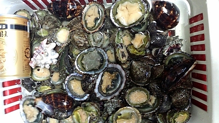 冬の磯へ