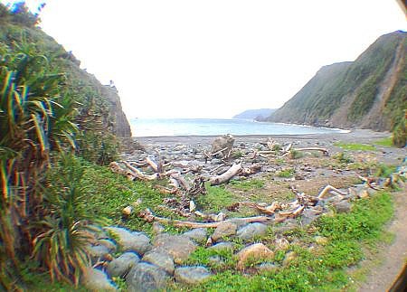 青久　(住用)