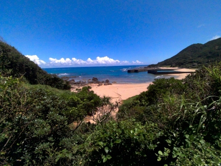 夏　奄美　2