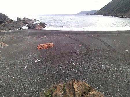 青久　(住用)