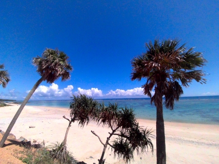 夏　奄美　2