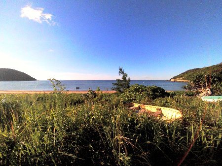 夏、輝け
