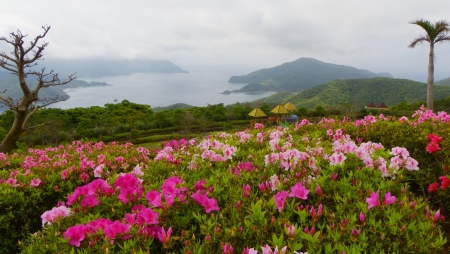 峰田山公園