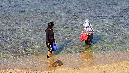 今日も海～