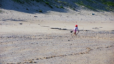 今日も海～
