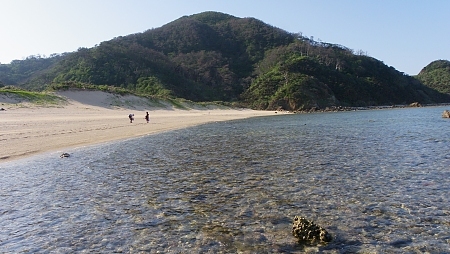 今日も海～
