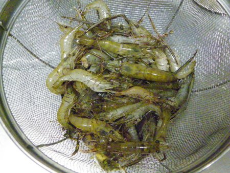 休みの今日