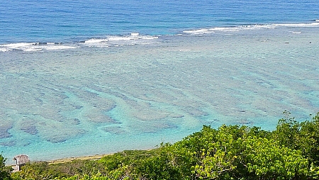 海が光っていますよ