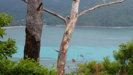 瀬戸内町の海