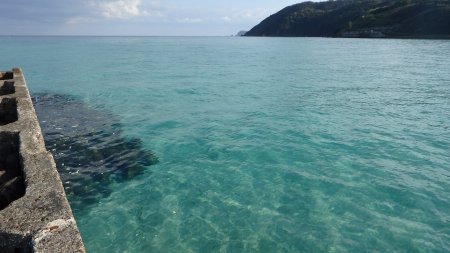 初泳ぎ
