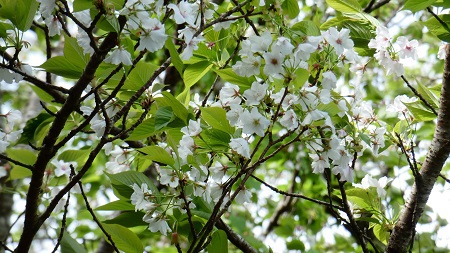 宇検村散策