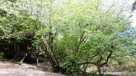宇検村散策